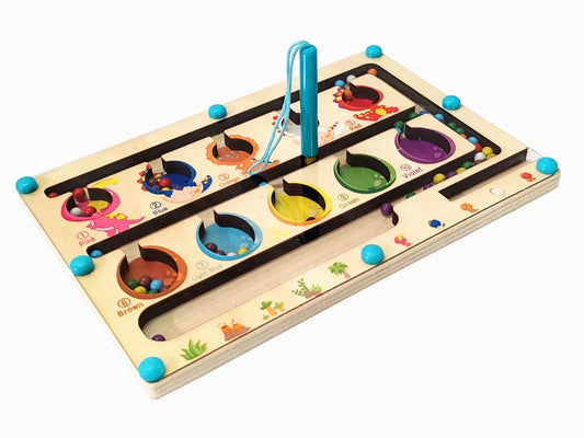 The Mag-Path Logic Maze