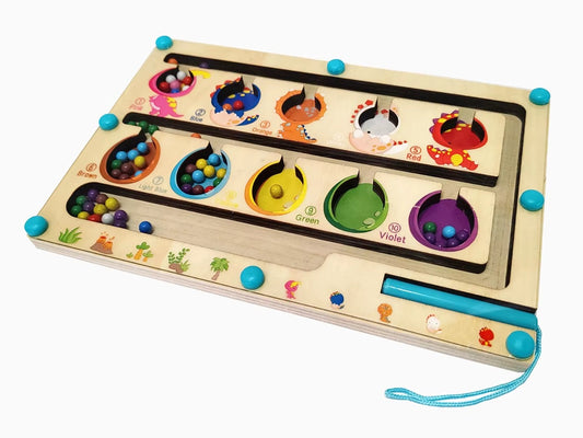 The Mag-Path Logic Maze