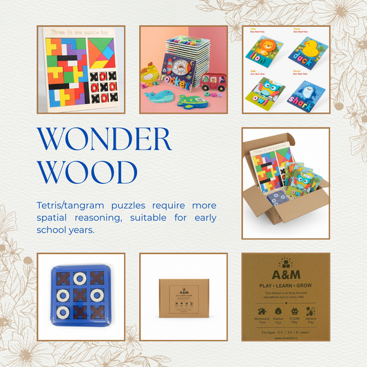 Wonder Wood | Brain Teaser Kit | Ages 5-8 Years | 3-in-1 Puzzle + Strategy Games